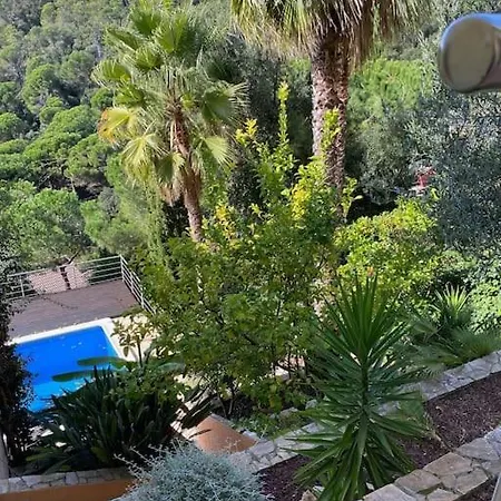 The 3 Singing Palms Villa